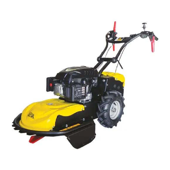 Roques et Lecoeur RL460B Schlegelmäher mit Briggs & Stratton Motor